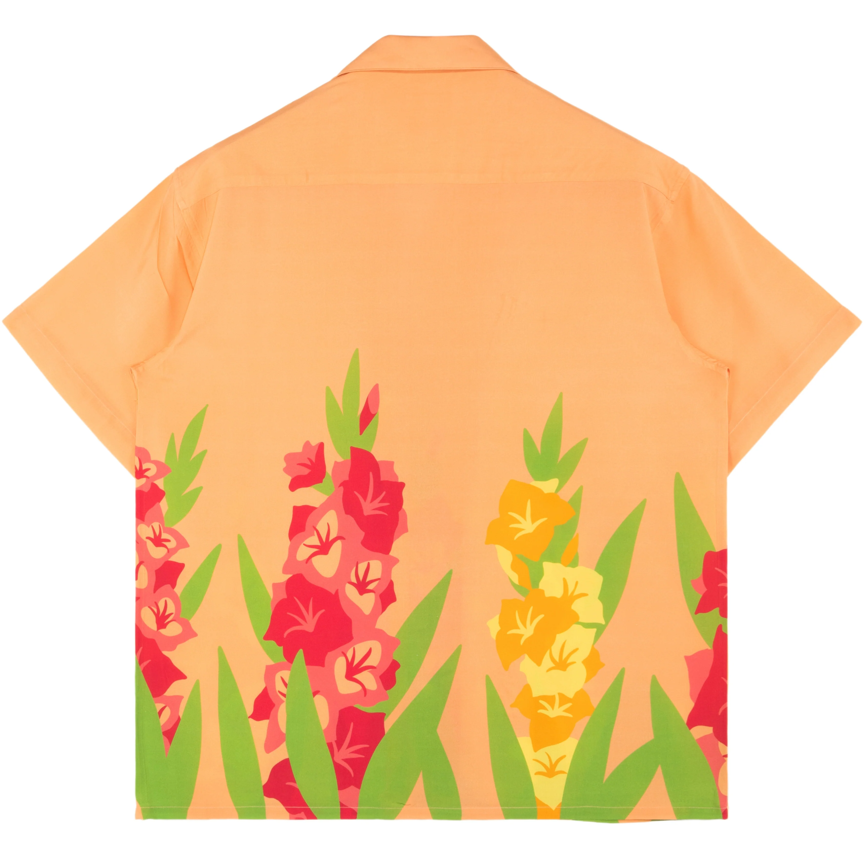 Gladiolus Button Up - Image 2