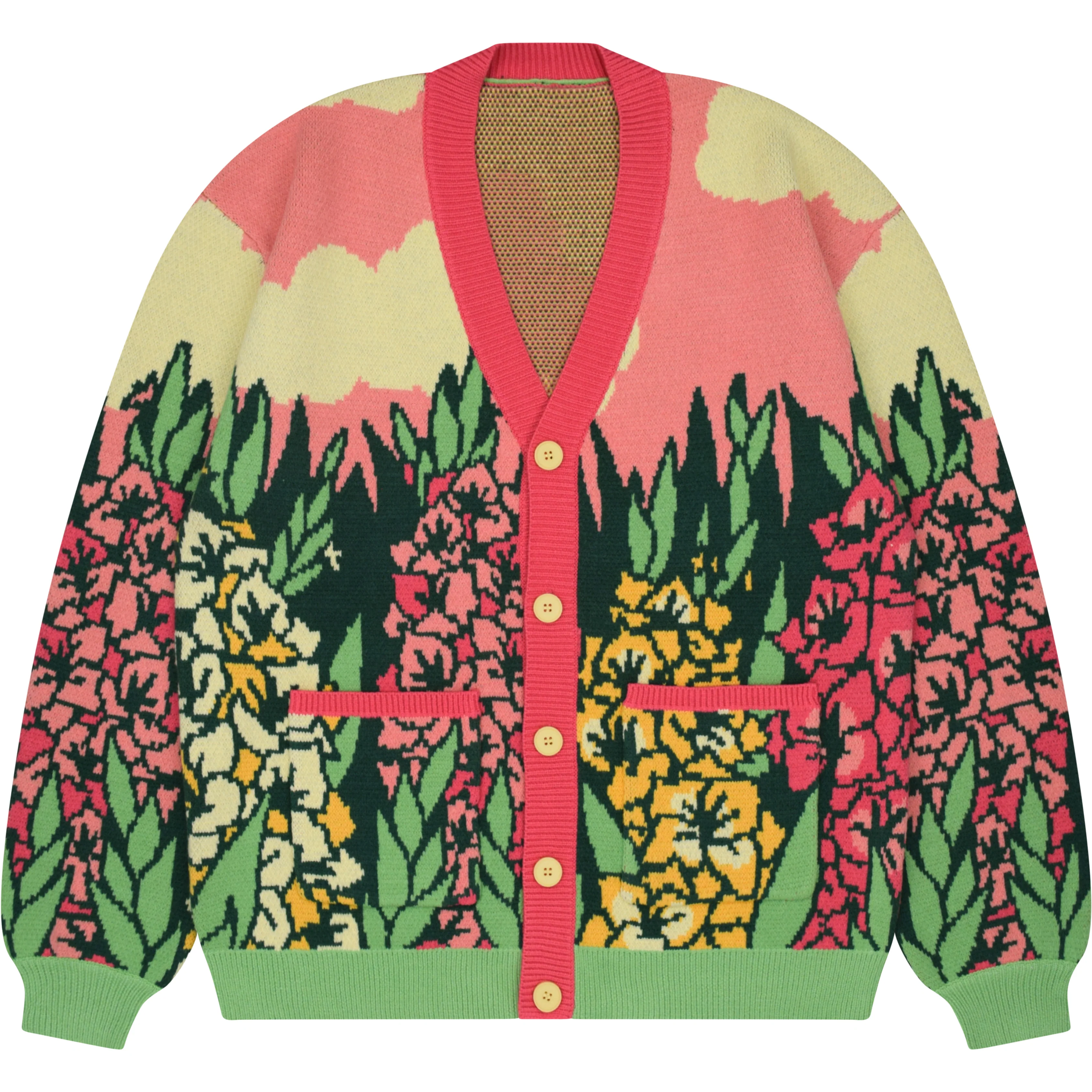 Gladiolus Cardigan