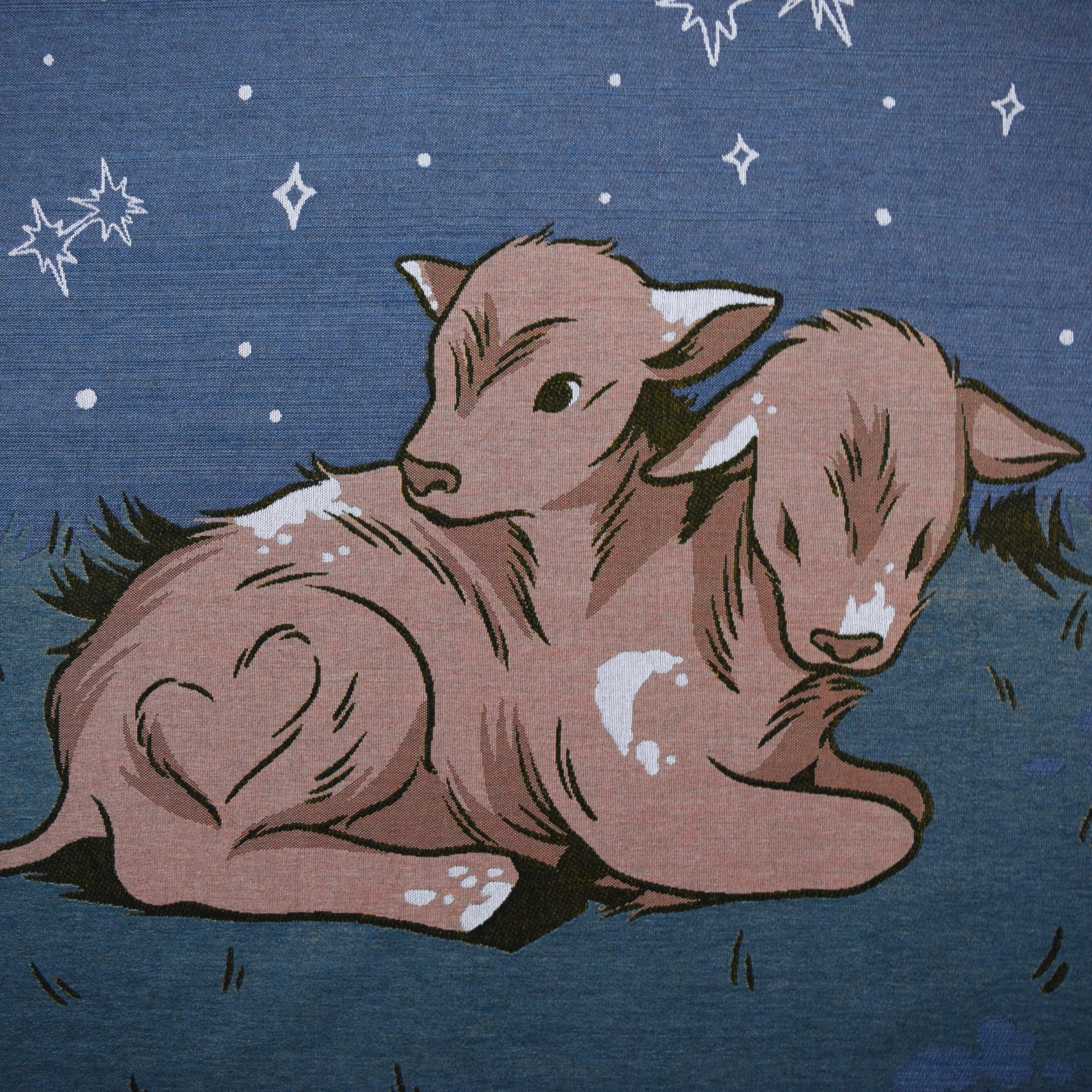 Twice As Many Stars Blanket - Image 2